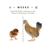 CHICK STARTER MEDICATED CRUMBLES MANNA PRO 5LB #667667