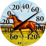 EZREAD INDOOR/OUTDOOR DIAL THERMOMETER