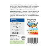 Lettuce, Black Seeded Simpson Organic Seeds, 1.2G #0815