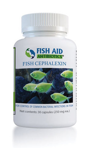 Fish Ceph 250mg 30-Capsules  #08644361