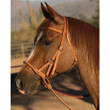 Professionals Choice Side Pull Round Leather Nose #8090