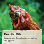 Nutrena NatureWise Feather Fixer Pelleted Chicken Feed 40lb #93591