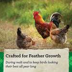 Nutrena NatureWise Feather Fixer Pelleted Chicken Feed 40lb #93591