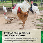 Nutrena NatureWise All Flock Pellet Feed, #91594-40