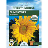 Sunflower, Mammoth Organic Seeds, 8.8g #6544