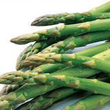Asparagus, Mary Washington Seeds, 900mg  #9795