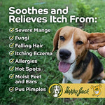 Happy Jack Mange Medicine for Dogs 8-oz #08642560