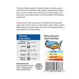 California Poppy, Extra Golden Seeds, 800mg #4005