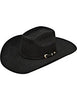 Ariat 6X 100% Fur Added Money Cowboy Hat #A7510401