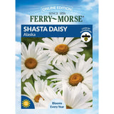 Shasta Daisy, Alaska Seeds, 300mg #6461