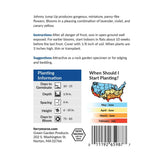 Johnny Jump Up, Helen Mount Seeds, 200mg #6692