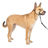 PETSAFE GENTLE LEADER HEADCOLLAR LARGE BLUE #066921