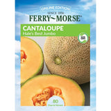 Cantaloupe, Hales Best Jumbo Seeds, 3.5g #1480
