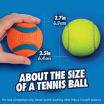 CHUCKIT! ULTRA BALL 2pk Medium #011968