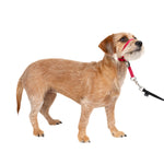 PETSAFE GENTLE LEADER HEADCOLLAR SMALL #066915