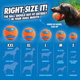 CHUCKIT! ULTRA BALL 2pk Medium #011968