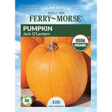 Pumpkin, Jack O'Lantern Organic Seeds, 4.4g  #9535