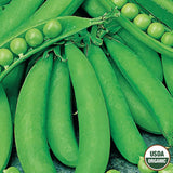 Pea, Cascadia Sugar Snap Organic Seeds, 14g  #9788