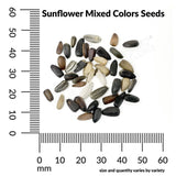 Sunflower, Mixed Colors Seeds, #2165