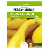 Squash, Dixie Hybrid Seeds, 3.1g #4085