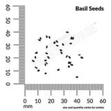 Basil, Sweet Organic Seeds, 300mg #1330