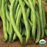 Bean, Blue Lake Stringless Pole Organic Seeds, 17.5G #0788