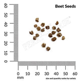 Beet, Detroit Dark Red Organic Seeds, 5.3G #0811