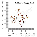 California Poppy, Extra Golden Seeds, 800mg #4005
