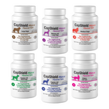 CAPSHIELD MAXX DOG MONTHLY FLEA SUPPLEMNT CHEWABLE 6 Tabs #0810