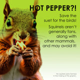 Heath Hot Pepper Squirrel Resistant Suet Treat #HHDD-25