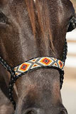 Professional's Choice Halter Cowboy Braided Rope Halter #HRCB