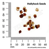 Hollyhock Summer Carnival Mixed Colors Seeds, 900mg #0020