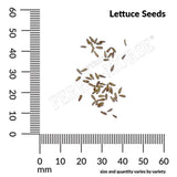 Lettuce, Parris Island Organic Seeds, 1.2G #0816