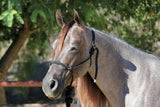 Professional's Choice Halter Roper #HR
