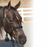 Professional's Choice Halter Cowboy Braided Rope Halter #HRCB