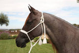 Professional's Choice Halter Cowboy Braided Rope Halter #HRCB