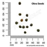 Okra, Clemson Spineless #80 Organic Seeds, 5.3g #1404