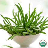Bean, Bush Blue Lake 274 Organic Seeds, 17.5G #1300