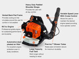 ECHO Backpack Gas Leaf Blower #PB-580TAA