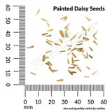 Painted Daisy, Single Mixed Colors Seeds, 200mg #5452