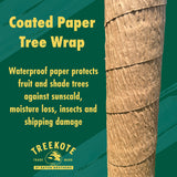 Treekote Paper Wrap 3" x 50ft. Tree Protection #ET306303