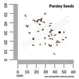 Parsley, Flat Italian Organic Seeds, 1.2G #1325