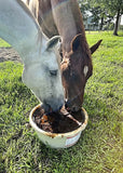 Purina EquiTub With ClariFly Horse Fly Lick #3005401 55lb or 125lb