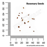Rosemary, Organic Seeds, 200mg  #9565