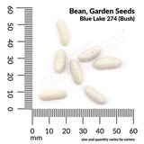 Bean, Bush Blue Lake 274 Organic Seeds, 17.5G #1300