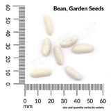Bean, Blue Lake Stringless Pole Organic Seeds, 17.5G #0788