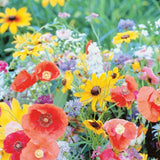 Wildflower Bird & Butterfly Mix Seeds, 8.8g  #2179