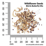 Wildflower Bird & Butterfly Mix Seeds, 8.8g  #2179
