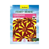 Marigold, Jolly Jester Seeds, #1804