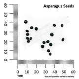 Asparagus, Mary Washington Seeds, 900mg  #9795